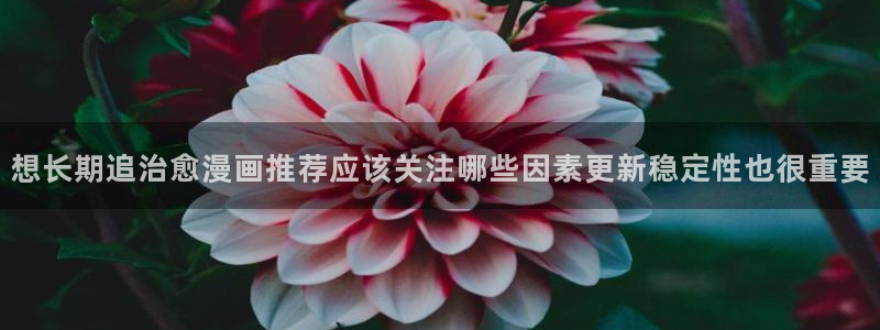 新新漫画在线